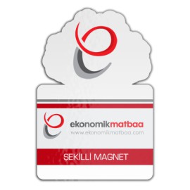 Şekilli Magnet