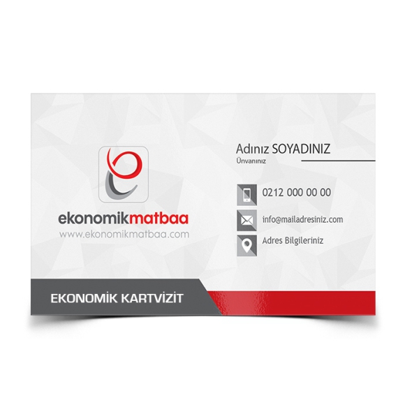Ekonomik Kartvizit